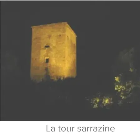 La Jolie Vue Et La Maison De La Tour- Cordes-sur-ciel Apartment *
