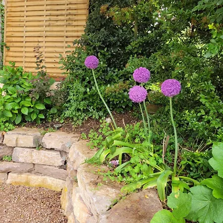 La Jolie Vue Et La Maison De La Tour- Cordes-sur-ciel