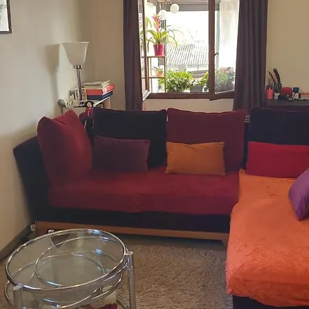Apartamento La Jolie Vue Et La Maison De La Tour- Cordes-sur-ciel *