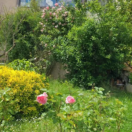 La Jolie Vue Et La Maison De La Tour- Cordes-sur-ciel Appartement