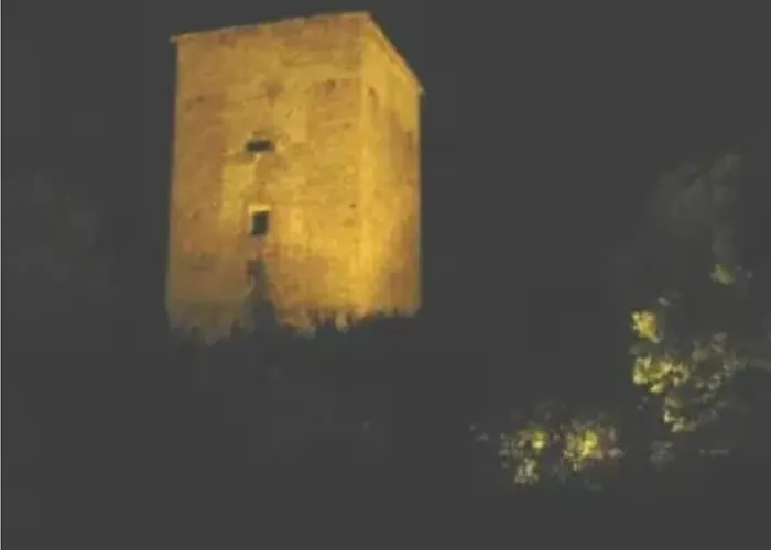 La Jolie Vue Et La Maison De La Tour- Cordes-sur-ciel Apartamento *