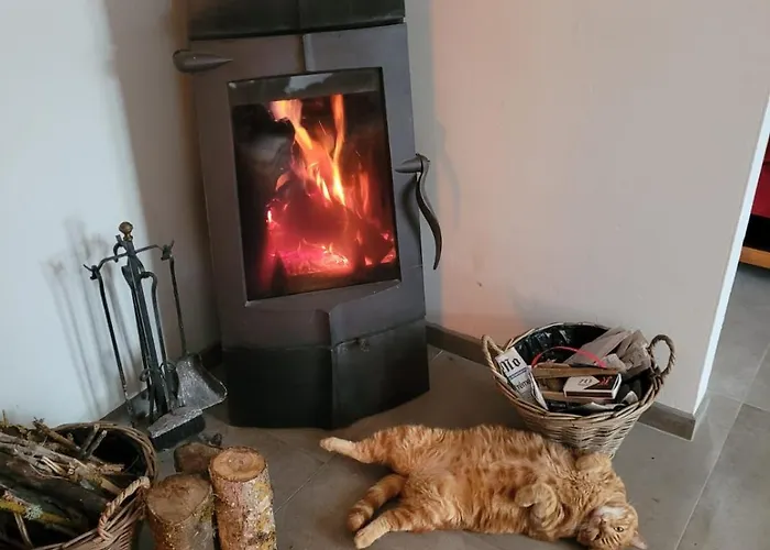 La Jolie Vue Et La Maison De La Tour- Cordes-sur-ciel Apartamento *