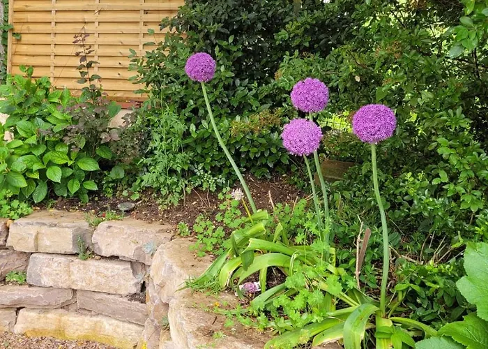 La Jolie Vue Et La Maison De La Tour- Cordes-sur-ciel