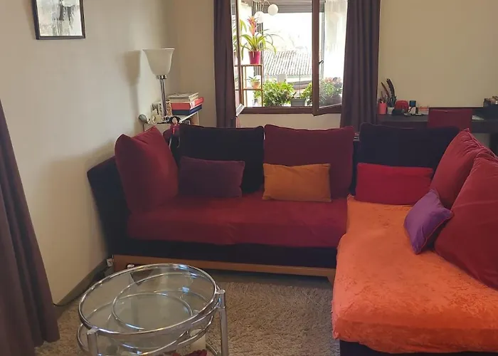 Apartmán La Jolie Vue Et La Maison De La Tour- Cordes-sur-ciel *