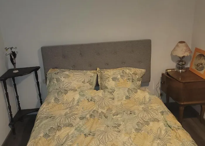 La Jolie Vue Et La Maison De La Tour- Cordes-sur-ciel Apartamento